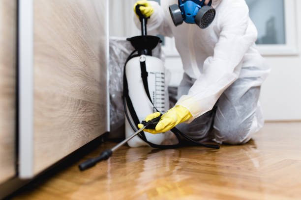 Best Affordable Pest Control Services  in St Augusta, MN