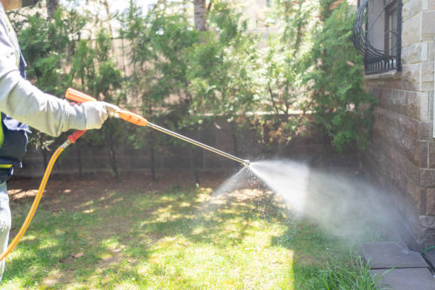 Best Commercial Pest Control Services  in St Augusta, MN