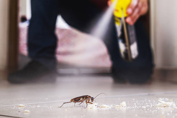 Best Residential Pest Control  in St Augusta, MN