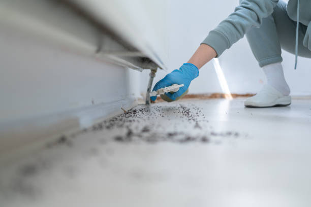 Best Exterminator Services  in St Augusta, MN